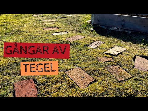 Gångar av TEGEL i trädgården - Ett lätt sätt att skapa gångar i gräsmattan