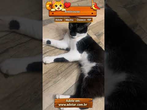 Vídeo de Ambrouse