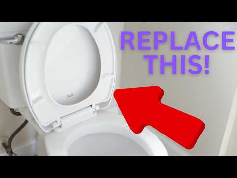 Toilet Seat Replacement Made Easy for Beginners!