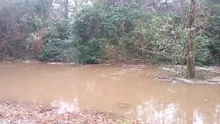 preview picture of video 'Black Creek, Brooklyn, MS, 29 December 2018, 10:41 AM'
