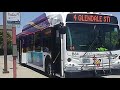 Glendale Beeline B84