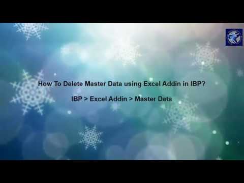IBP : How to Delete Master Data using Excel Addin in IBP