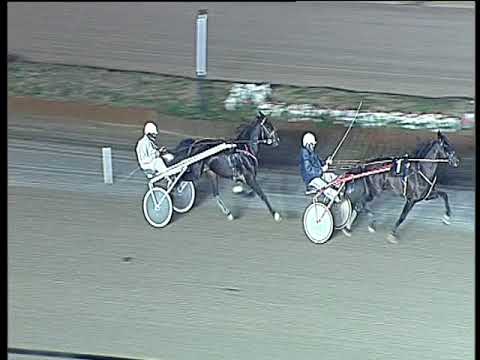 Trotto 12/01/2018 - prova di qualifica