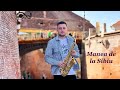 Nelu Popa Manea De La Sibiu Videoclip Oficial