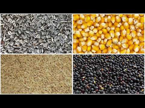 Stela Laxhuber GmbH - Imagefilm