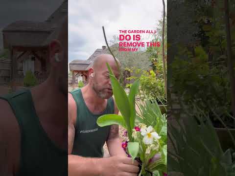 Consejo para ahorrar dinero en jardinería: no tires la ropa de cama de otoño e invierno. #gardene...