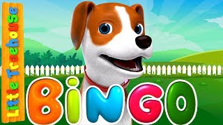 Bingo Was His Name O | Kindergarten Songs and Videos for Children