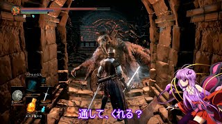 素直で温厚なゆかりさんのダークソウル３　PRT３１