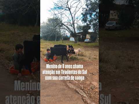 Menino chama atenção no interior de Tiradentes do sul com sua carreta de canga.