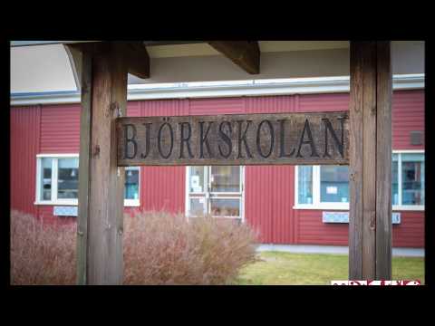 Björkskolan - Sommar & Kvarndammskolan - Sommarlåt