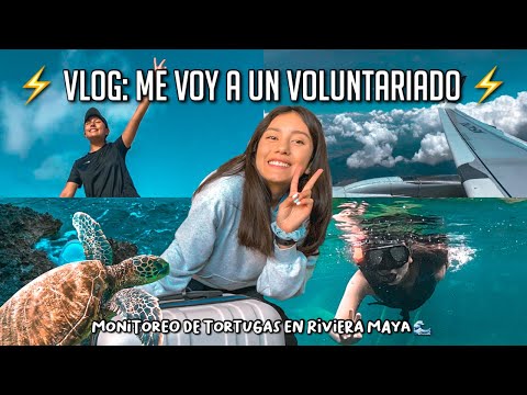 Me voy a un VOLUNTARIADO de TORTUGAS MARINAS por 1 MES 🐢 l VLOG EMPACAR + VIAJE 🌊