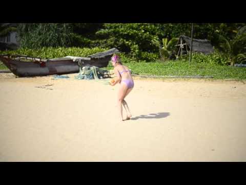 Sri lanka 2015 beach coconut