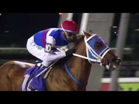 230730 c08  Z. Michelini/ DON SAVATER