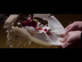 RED EPIC 300fps Slow Motion Text 2K