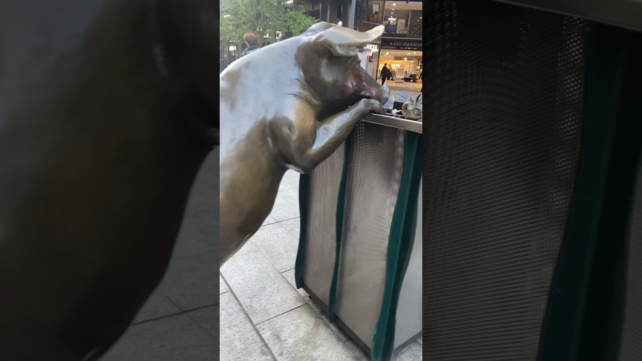 YouTube Short thumbnail