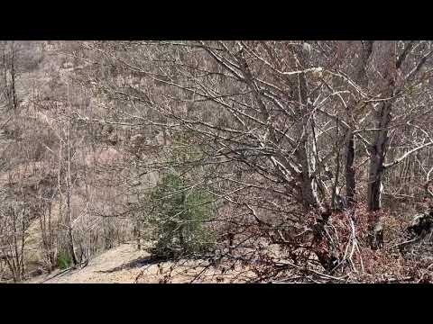 Si ndërtohet Shoqëria - Hoxhë Bekir Halimi