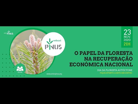Webinar "O Papel da Floresta na Recuperação Económica Nacional"