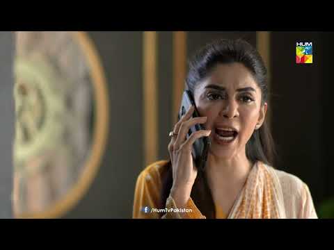 Junaid Hamen Dhoka Tou Nahi De Raha !!!! - Beqadar - HUM TV