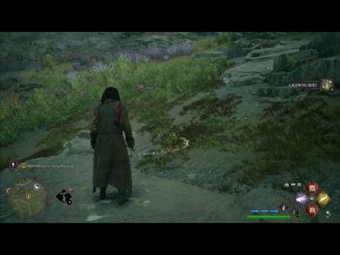 Hogwarts Legacy Walkthrough Pt 40 "Isidoras Pain"