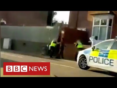 英国の警察が黒人男性をターゲットにしたと非難 - BBC ニュース (UK police accused of targeting black men with tasers - BBC News)