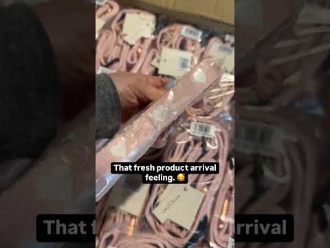 Fresh Stock, Flying Fast! 🐾📦