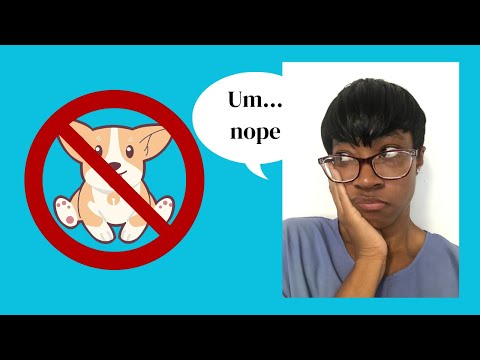 3 Dog Breeds I Don’t Care For🤷🏾‍♀️*trigger warning*