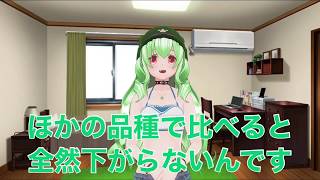 お茶の木を30年植えてあるのってすごいことなんです！