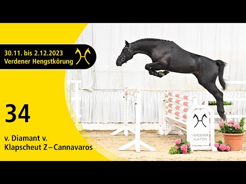 Verden Stallion Licensing 2023 - Jumping - Dec. 1/2- No. 34 Stallion by Diamant van Klapscheut Z