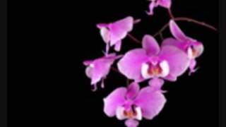 Bing Crosby: P.S. I Love You