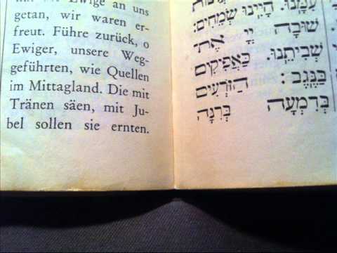 Hazoyrim bedimoh (shuvah Hashem es shviseynu) - Carlebach הזורעים בדמעה (שובה ה' את שביתנו) - קרלבך