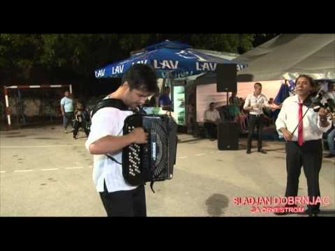 SRDJAN DOBRNJAC - Kolo, Prva Harmonika Sveta - SEVA, harmonika