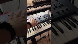 Alice Deejay Better of Alone #JP8000 #virus #jd990 #minibrute #ElektronMachinedrum #sundayfunday