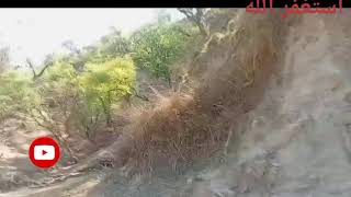 Travelling vlog|2kind|with family|enjoyable.trip#greenry#pahar#tootipotisarik#mountains#2025 #viral