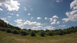 A Day on the Blueberry Farm | Amazing Time Lapse | GoPro Hero4 | Relaxing |