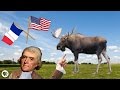 How Thomas Jefferson Saved America With a Dead Moose