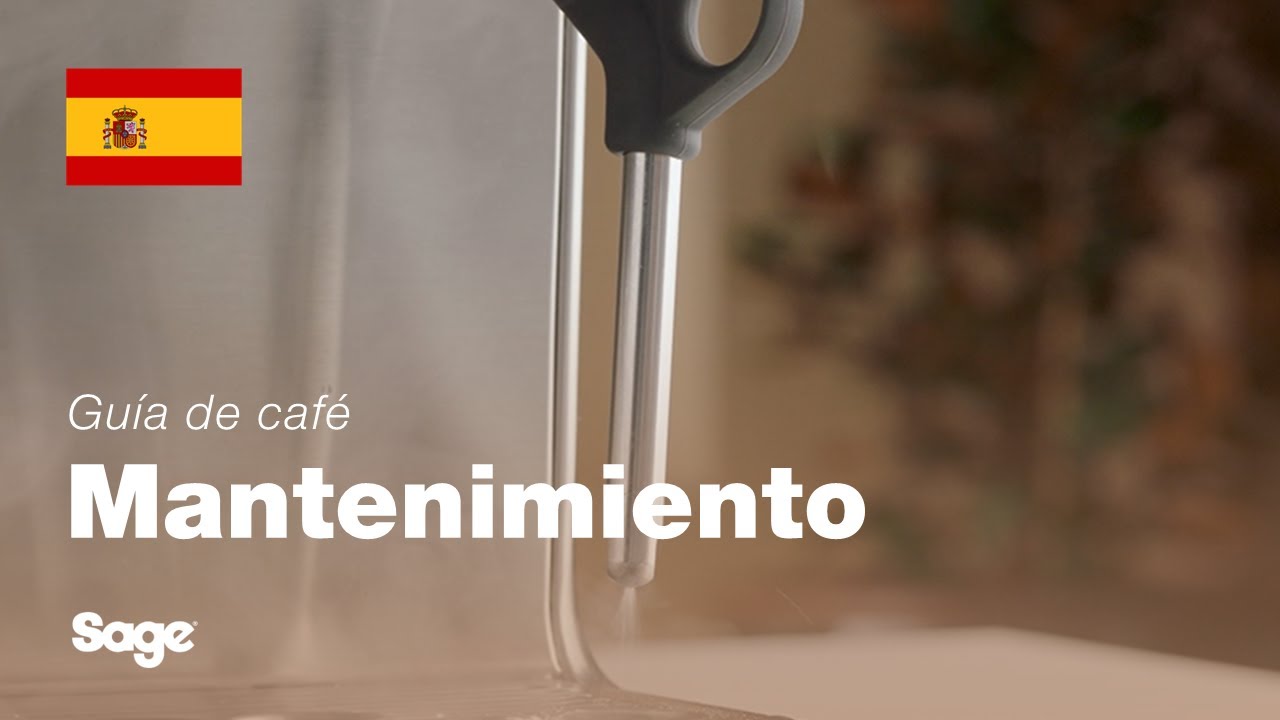 Cómo limpiar y desatascar la lanceta