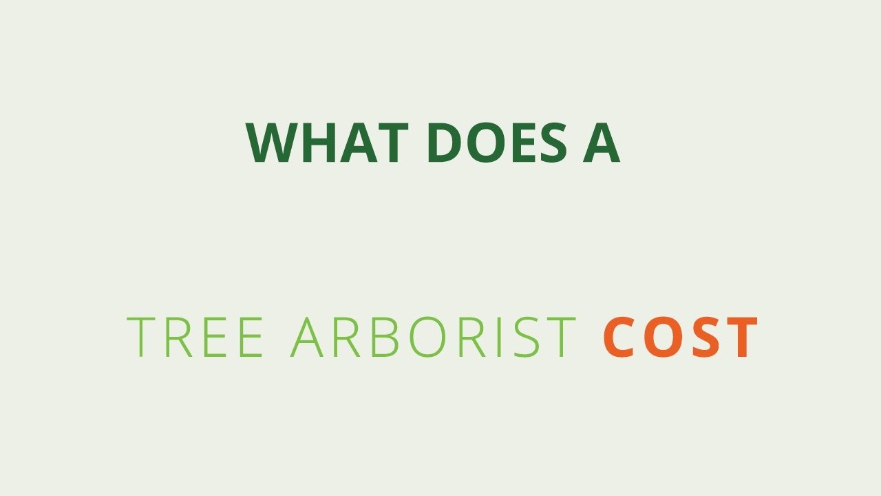 How Much Does an Arborist Cost?