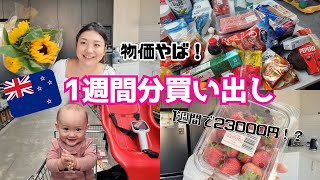 【物価調査】4人家族1週間スーパー買い出し！ニュージーランドの物価は高い？食費いくら？海外生活｜国際結婚