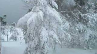 preview picture of video 'Oswego under the Lake Effect Snow Gun'