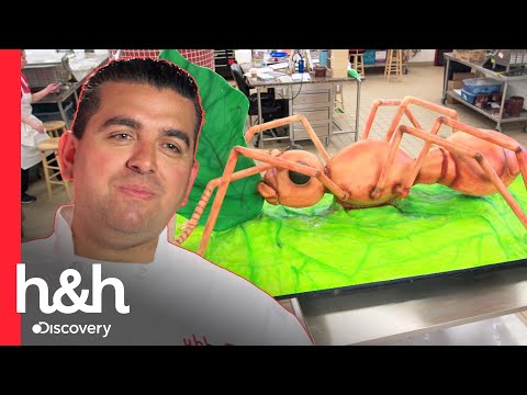 Buddy sorprende con este pastel de hormiga gigante | Cake Boss | Discovery H&H