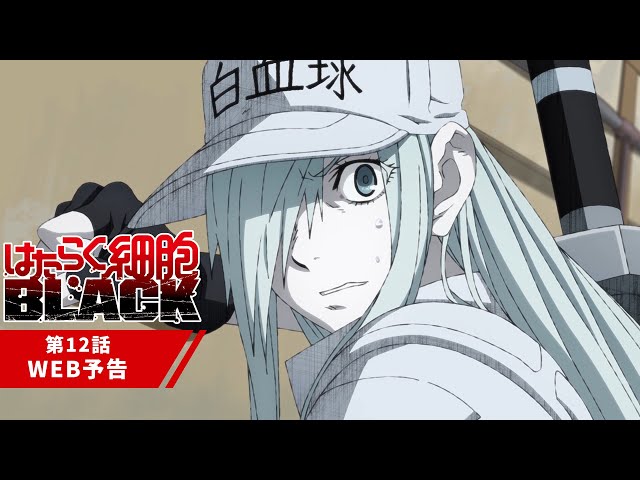 はたらく細胞ブラック アニメ感想 12話 Hiroshi Archives