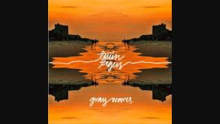 Twin Tigers- Gray Waves