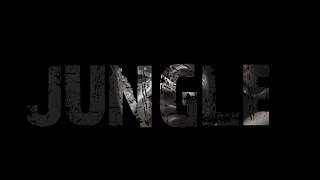 Yung Swiss Feat. K.O - Jungle (Official Music Video)