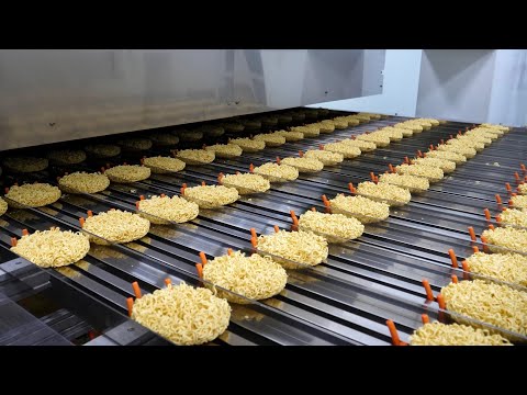 압도적인 스케일! 한국 음식 공장들의 놀라운 식품 대량 생산 과정 몰아보기