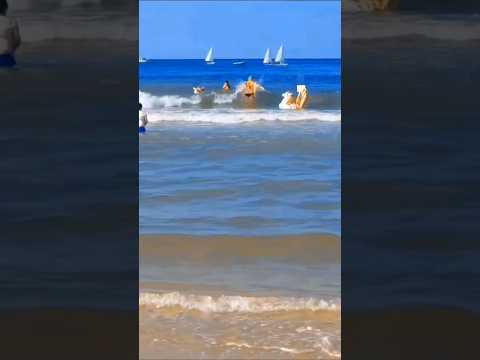 Differenze di genere e di sesso. FAD  #shorts #mentalhealth