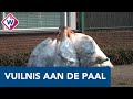Westlanders hangen plastic afval aan lantaarnpalen - OMROEP WEST