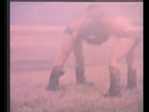 ГАРЬД МАГНАЙ