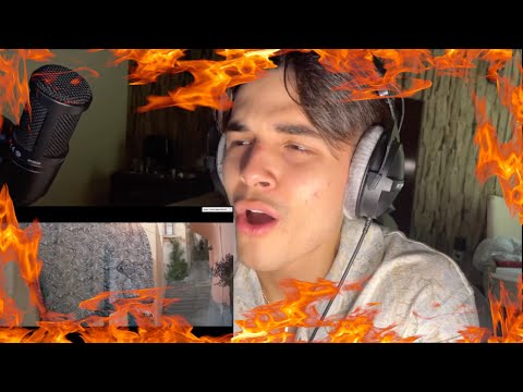 Fred De Palma - Paloma (feat. Anitta) [REACTION]