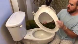 How To Fix Replace a Toilet Seat Lid