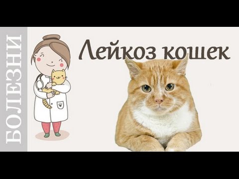 Боль в суставах рук при простуде Если болит спина чем лечить
